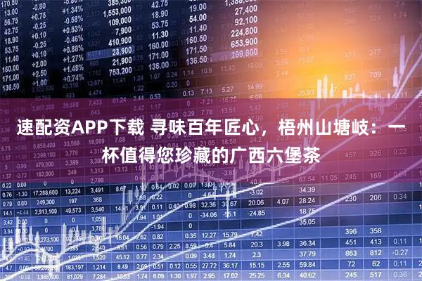 速配资APP下载 寻味百年匠心，梧州山塘岐：一杯值得您珍藏的广西六堡茶